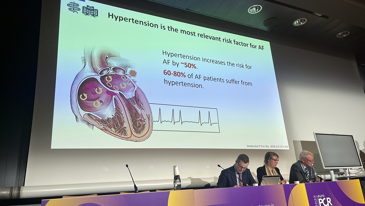 Renal Denervation: Exploring Its Potential Beyond Hypertension - Vimarsana News