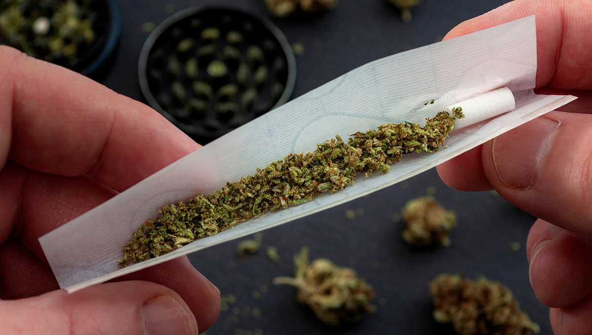 Cannabis Use Tied to Greater Risks of MI, Stroke in a Large Study - Vimarsana News