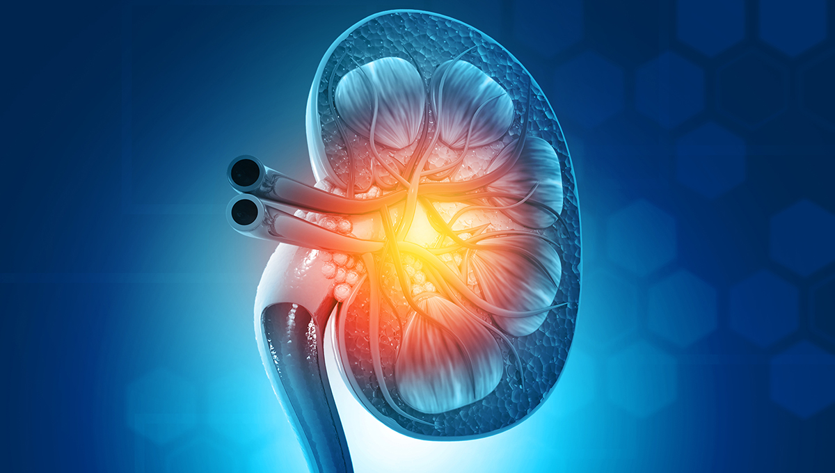 Study proves cost-effectiveness of renal denervation in hypertension