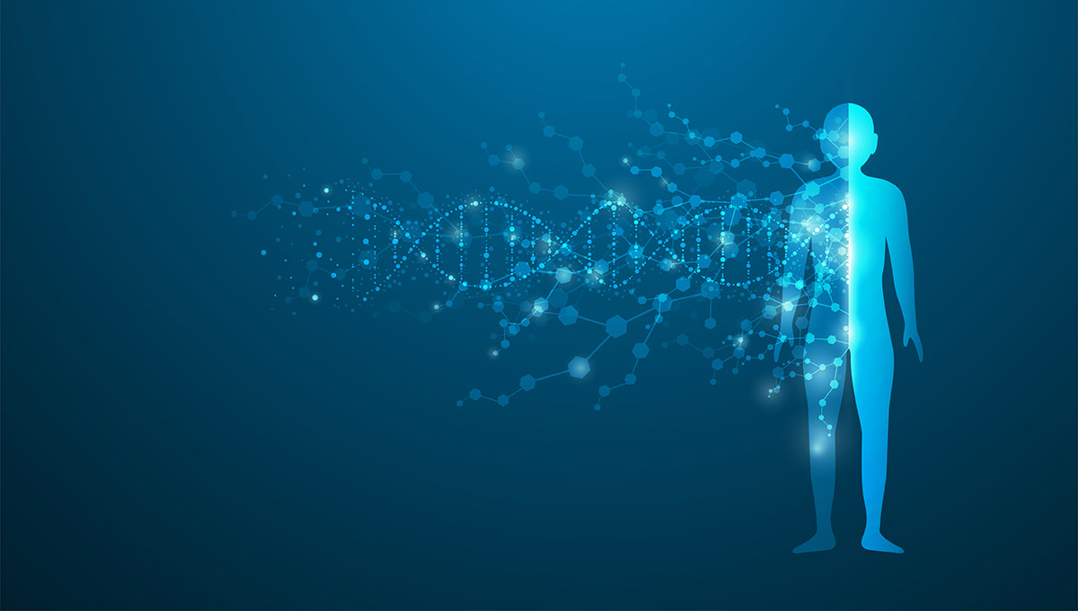Polygenic Risk Score Predicts Eight Cardiovascular Conditions