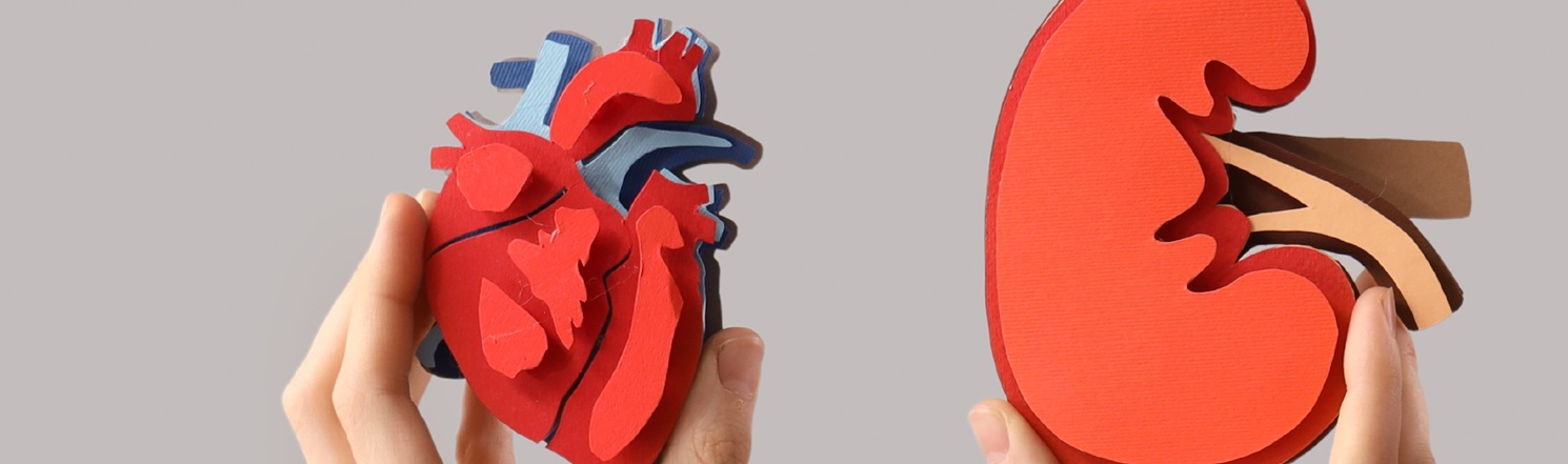 does semaglutide cause coughing Diabetes Distilled: GLP-1 receptor agonists associated with increased new chronic cough? does semaglutide cause coughing Diabetes Distilled: GLP-1 receptor agonists associated with increased new chronic cough?