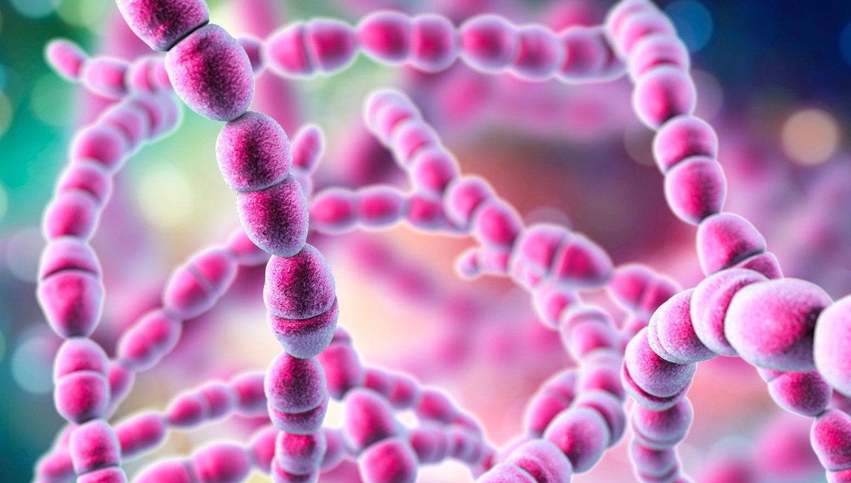 POET II Supports Shorter Antibiotic Course in Infective Endocarditis