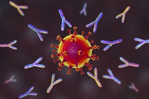ANTIBODIES