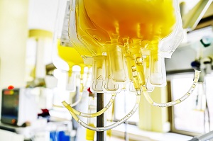 Bags of yellow fresh frpzen plasma ready for transfusion