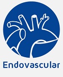 Endovascular