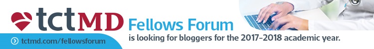Fellows Forum blogger 2017-2018
