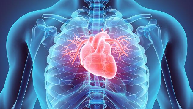 New Chronic Heart Disease Guidelines Update Roles of GDMT, Imaging, and Revascularization