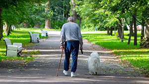 Renewed Questions About Safety of Paclitaxel Devices in PAD: SWEDEPAD