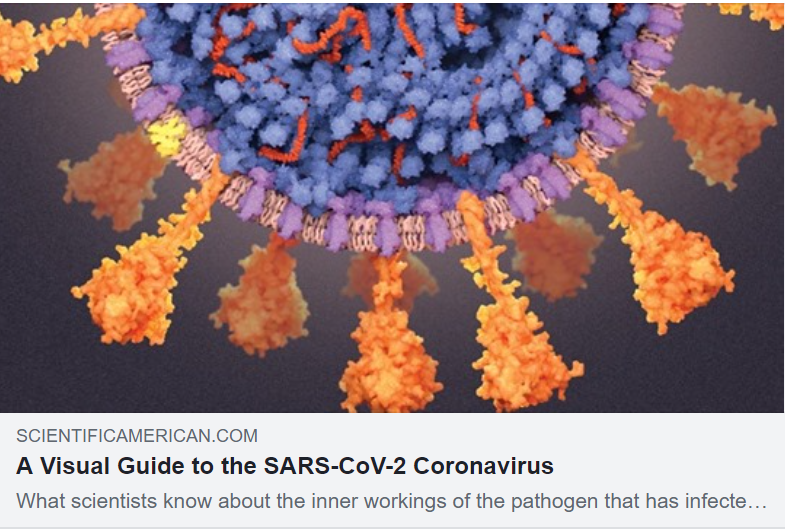 Scientific American 