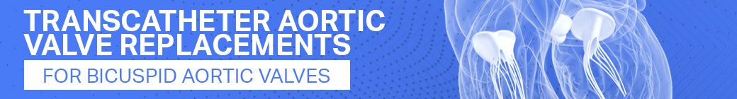 Registration - Transcatheter Aortic Valve Replacements for Bicuspid Aortic Valves