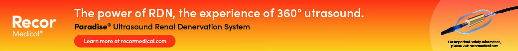 Interpreting the New Data: Expert Perspectives on Paradise Ultrasound Renal Denervation