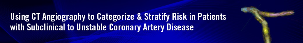 Using CT Angiography to Categorize & Stratify Risk in Patients with Subclinical to Unstable Coronary Artery Disease