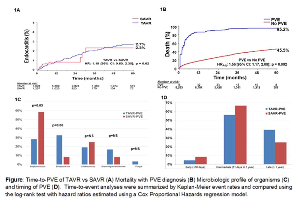 Prosthetic Valve Endocarditis Rate Similarly Low for TAVR vs SAVR