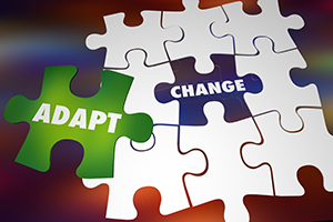 adapt and change puzzle