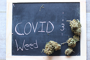 chalkboard and weed