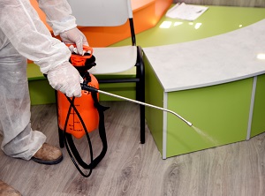 cleaning