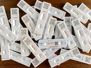 covid rapid tests
