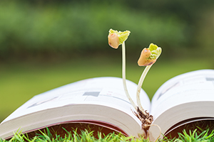 flowers blooming from book