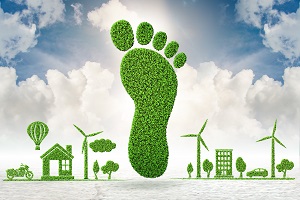 foot