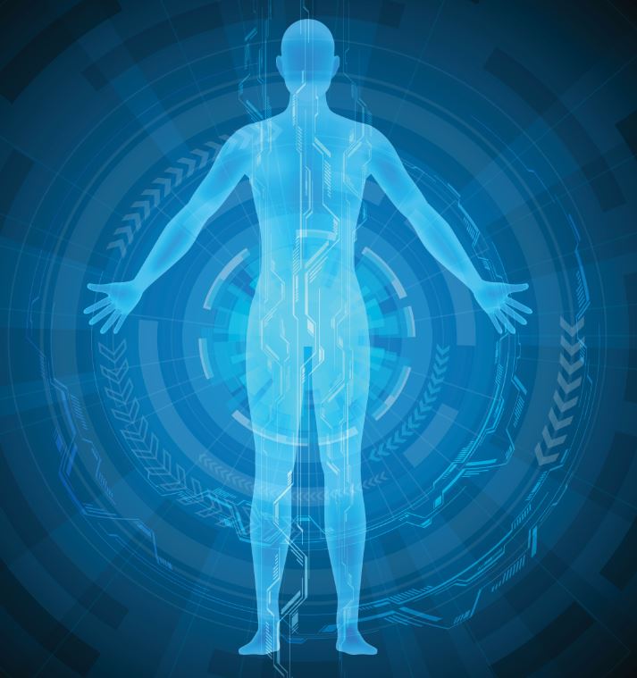 Human body