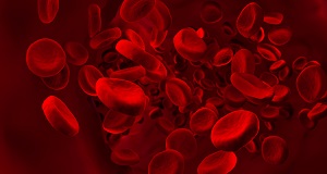 red blood cells