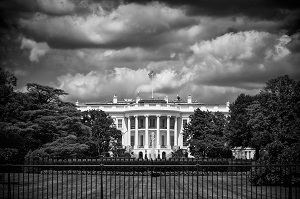 white house