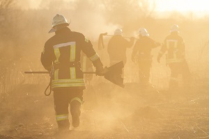 wildfire