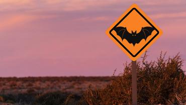 BATMAN Signals New Way to Prevent LVOT Obstruction in High-Risk TMVR Patients