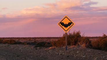 BATMAN Signals New Way to Prevent LVOT Obstruction in High-Risk TMVR Patients