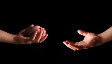 Cardiac Transplant in Midst of ‘Revolution,’ but Public Trust Is Fragile