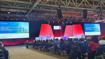 Loberamisal Scores a Rare Win for Stroke Neuroprotection