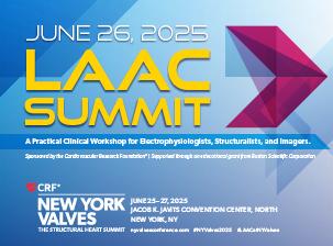 laac-summit