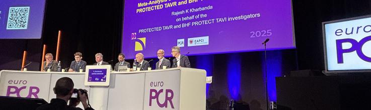 Meta-analysis Quashes Hopes for Routine Embolic Protection in TAVI