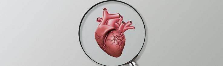 CMR May Improve Assessment of ICD Need in Cardiac Sarcoidosis