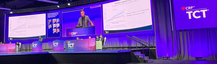 At 3 Years, DCBs Still Less Safe Than DES in De Novo CAD: REC-CAGEFREE I