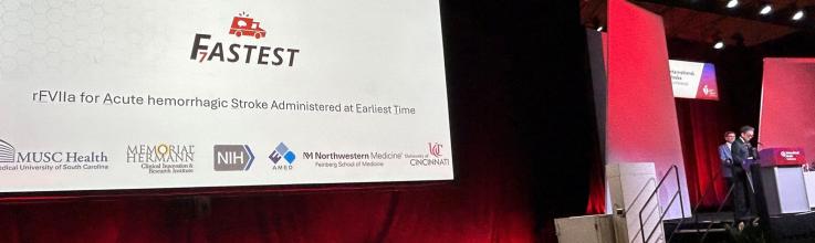 FASTEST Hints at Benefits of Hemostatic Therapy for Acute ICH in Select Groups
