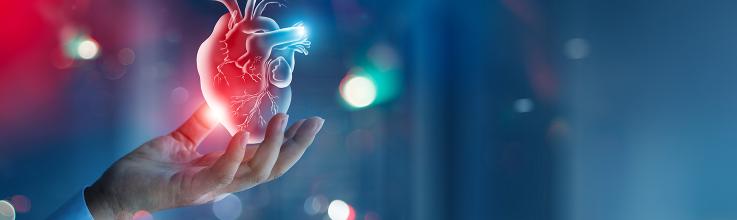 Mechanical Circulatory Support Doesn’t Reduce Infarct Size in STEMI