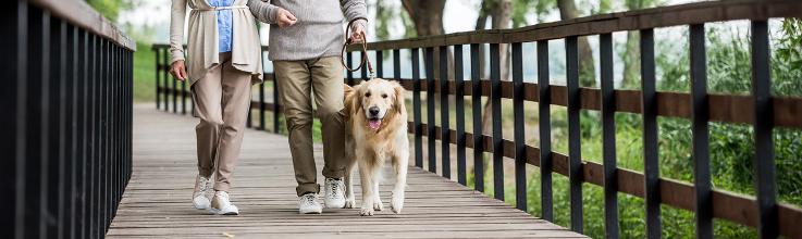 STORM-PE: Mechanical Thrombectomy Boosts Walking and Daily Living Gains
