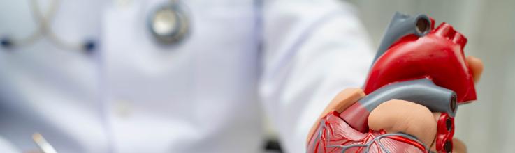 US Heart Failure Landscape Continues to Worsen: HF STATS 2026