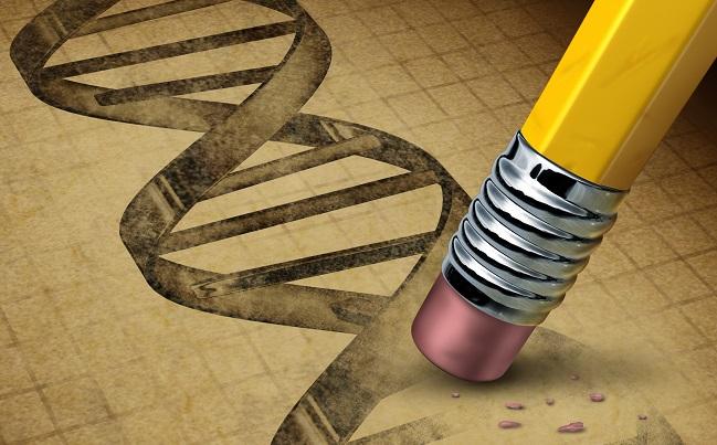 You Can’t Blame Your Genes: Healthy Lifestyle Halves Genetic Risk of CAD