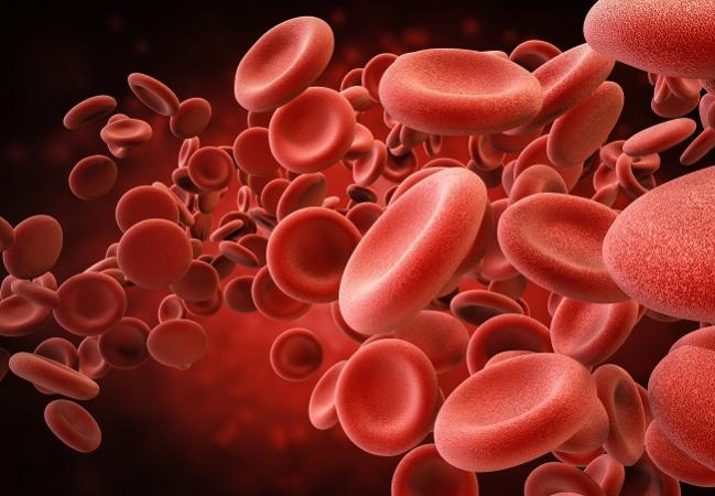 Patients With A-fib Still Have High Mortality Risk After Appropriate Anticoagulation Is Started