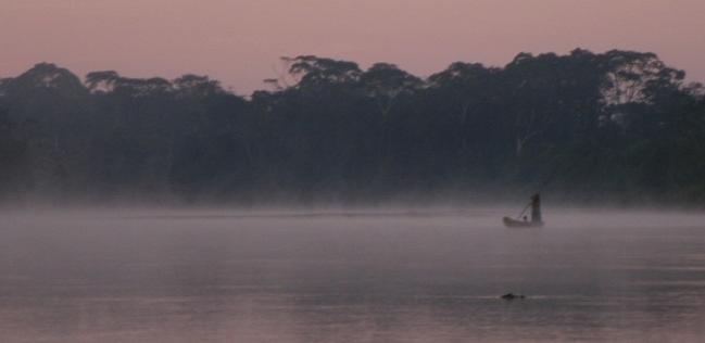 People Living in Amazon Rainforest Provide Clues to Coronary Protection 