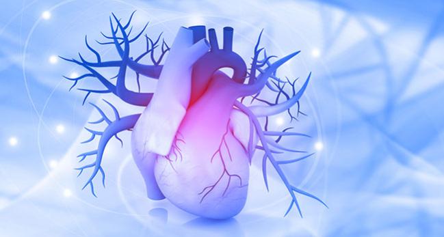 Score May Ease Risk Stratification in Acute MI-Related Cardiogenic Shock