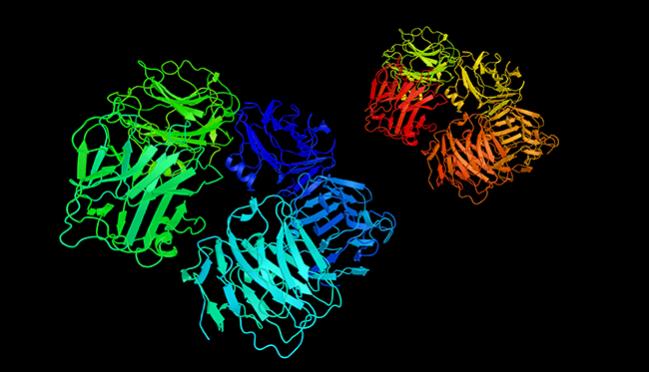 CANTOS: Canakinumab Cuts Combo of MI, Stroke, CV Death in Post-MI Patients With Elevated CRP