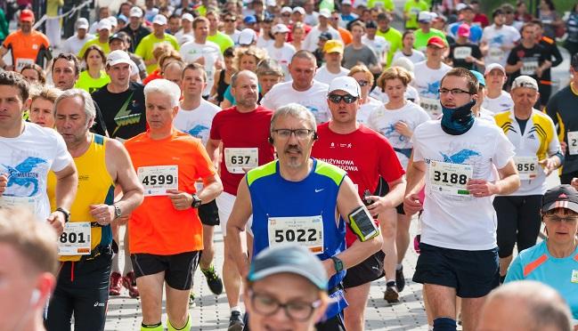 Run to Your Heart’s Content: Marathons Not Linked With Subclinical Atherosclerosis