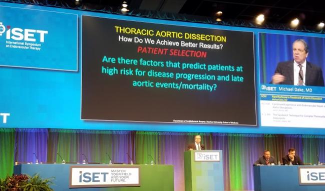 Aortic Dissection: What’s Next in Endovascular Therapy
