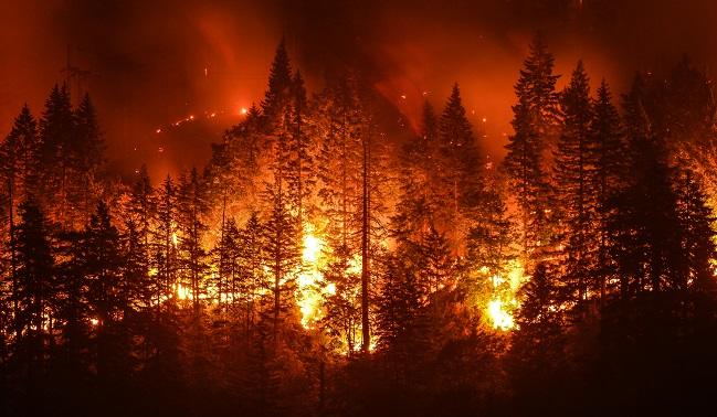 Particulate Matter From California Wildfires Linked to Cardiovascular and Cerebrovascular Events