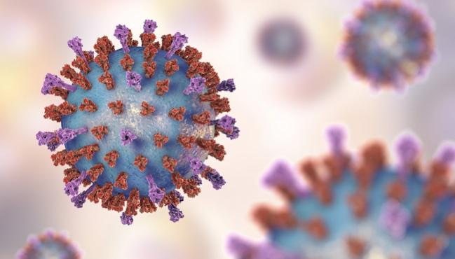 Respiratory Syncytial Virus Linked With Cardiovascular Complications