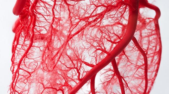 Coronary Microvascular Dysfunction May Be a Marker of CV Risk in Obese Patients