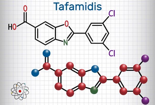 Tafamidis, a Transthyretin Stabilizer, Offers Hope for Rare Cardiomyopathy
